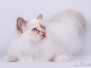 Lilja 10 months